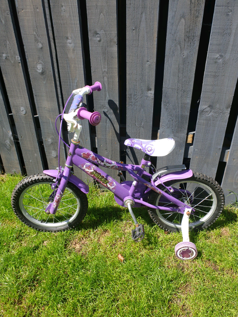 gumtree girls bike